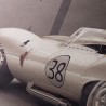 Cartel del Jaguar D-Type "Short Nose" 1958